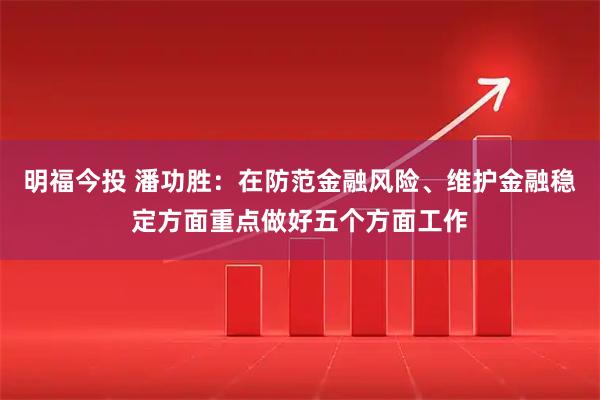 明福今投 潘功胜：在防范金融风险、维护金融稳定方面重点做好五个方面工作