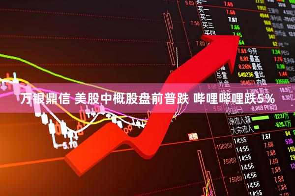 万银鼎信 美股中概股盘前普跌 哔哩哔哩跌5%