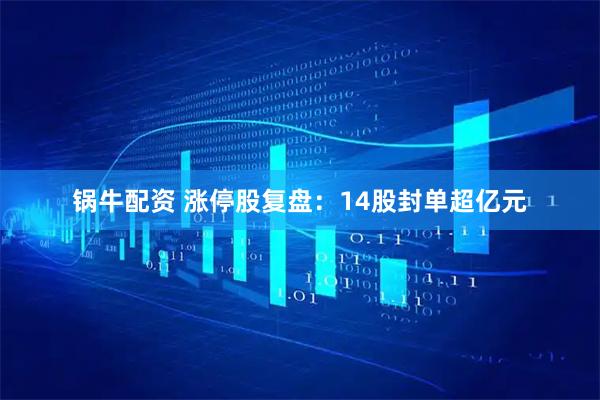 锅牛配资 涨停股复盘：14股封单超亿元