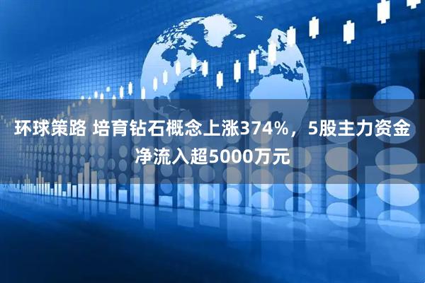 环球策路 培育钻石概念上涨374%，5股主力资金净流入超5000万元