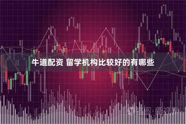牛道配资 留学机构比较好的有哪些
