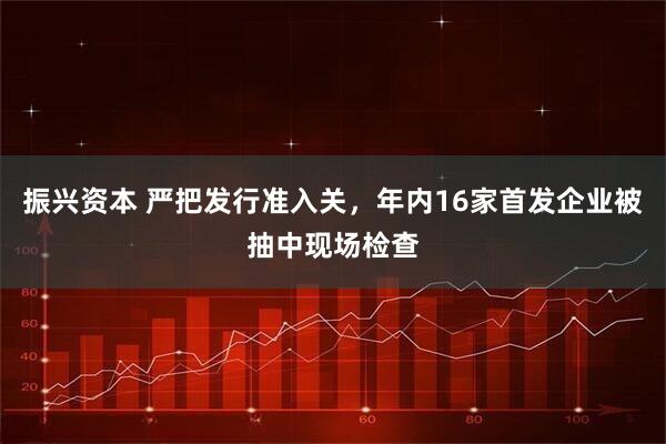 振兴资本 严把发行准入关，年内16家首发企业被抽中现场检查