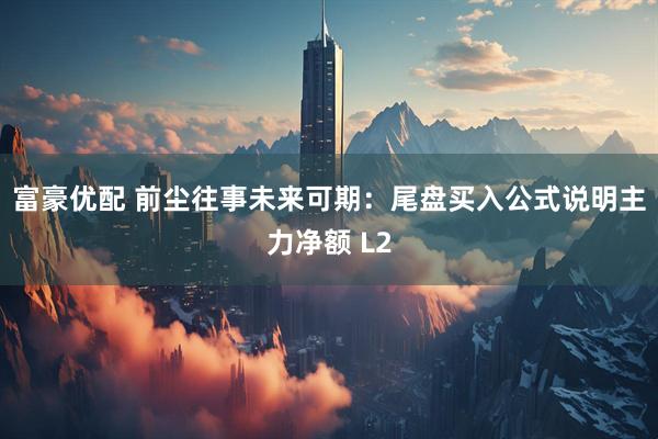 富豪优配 前尘往事未来可期：尾盘买入公式说明主力净额 L2
