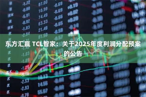 东方汇赢 TCL智家：关于2025年度利润分配预案的公告