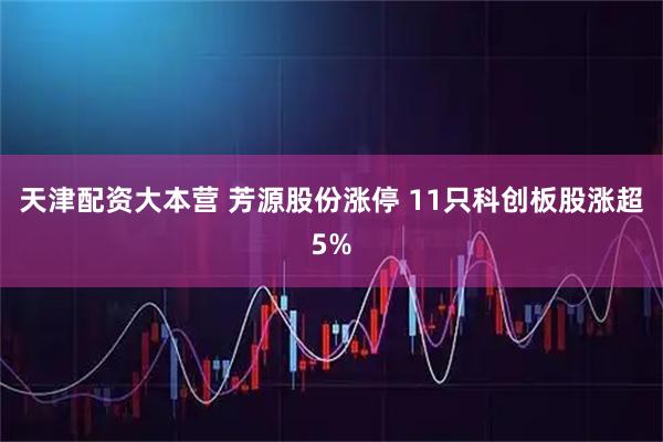 天津配资大本营 芳源股份涨停 11只科创板股涨超5%